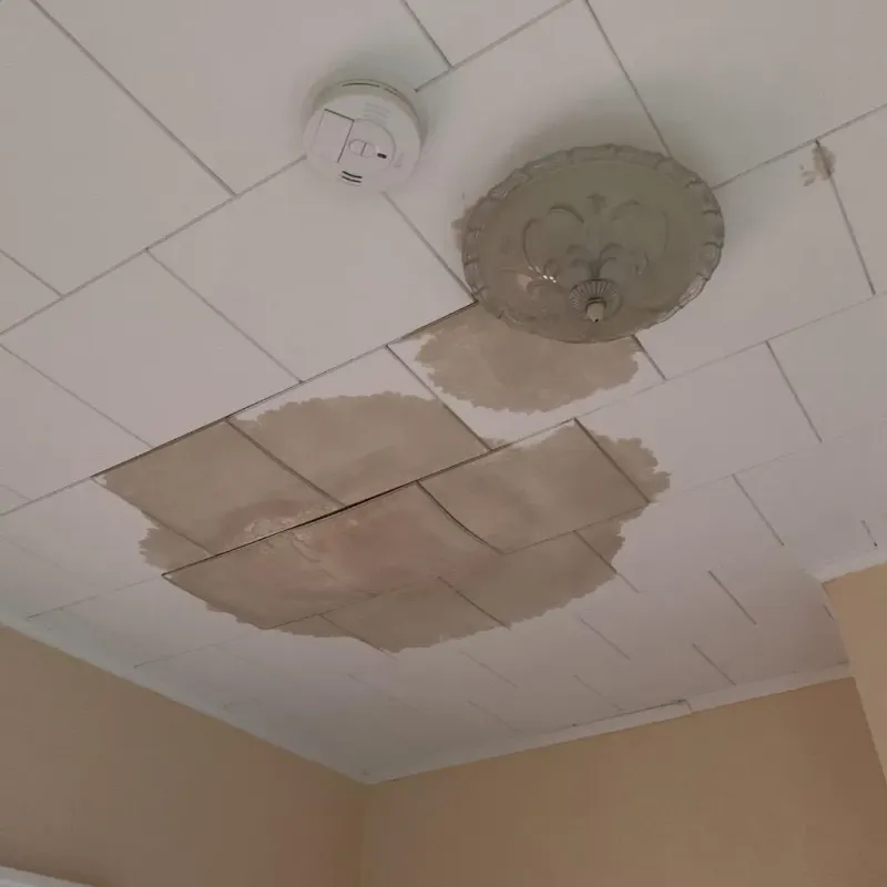 Ceiling Water Damage Repair in Toast, NC