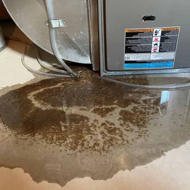 Pipe Burst and Leak Restoration in Toast, NC