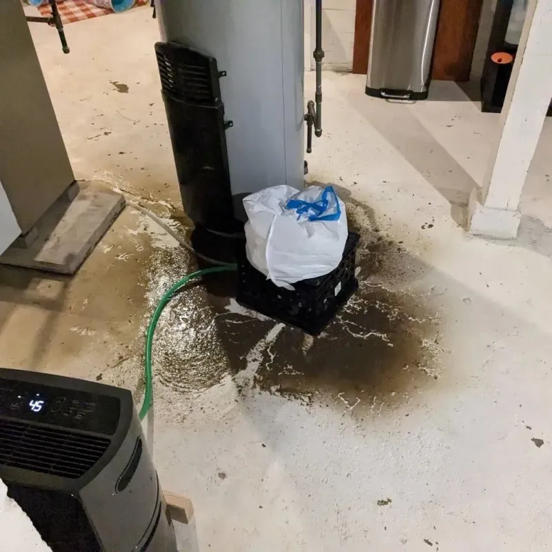 Sewage Backup Cleanup Service in Toast, NC